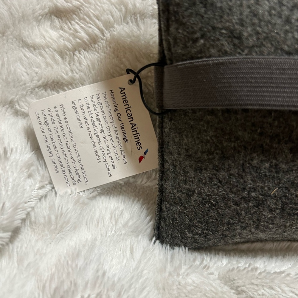 Gray felt American Airlines - Picture 3 of 8